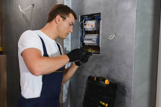 Best Electric Panel Repair  in Gretna, FL